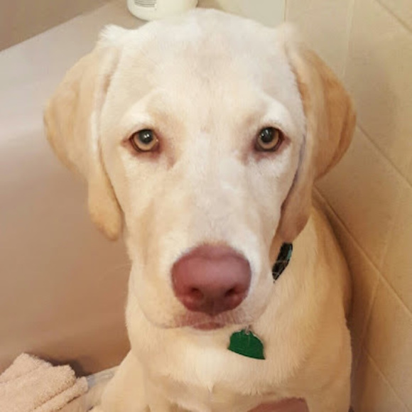 Meet your Posher, Jennifer - Picture 1 of 1